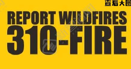 (水桶)采购15000件折叠水桶