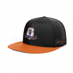 SnapBack Baseball Cap Mens with 3D Logo