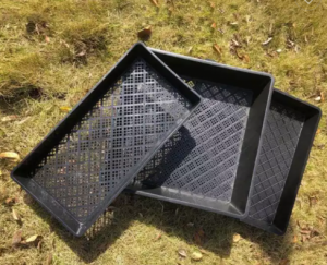 Hydroponic microgreens tray