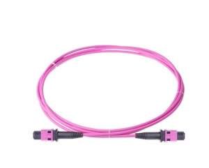 Multimode MPO to MPO Trunk Cable Type B 1/2/3/5M O