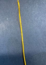elastic golden string