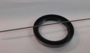 spring of oil seal